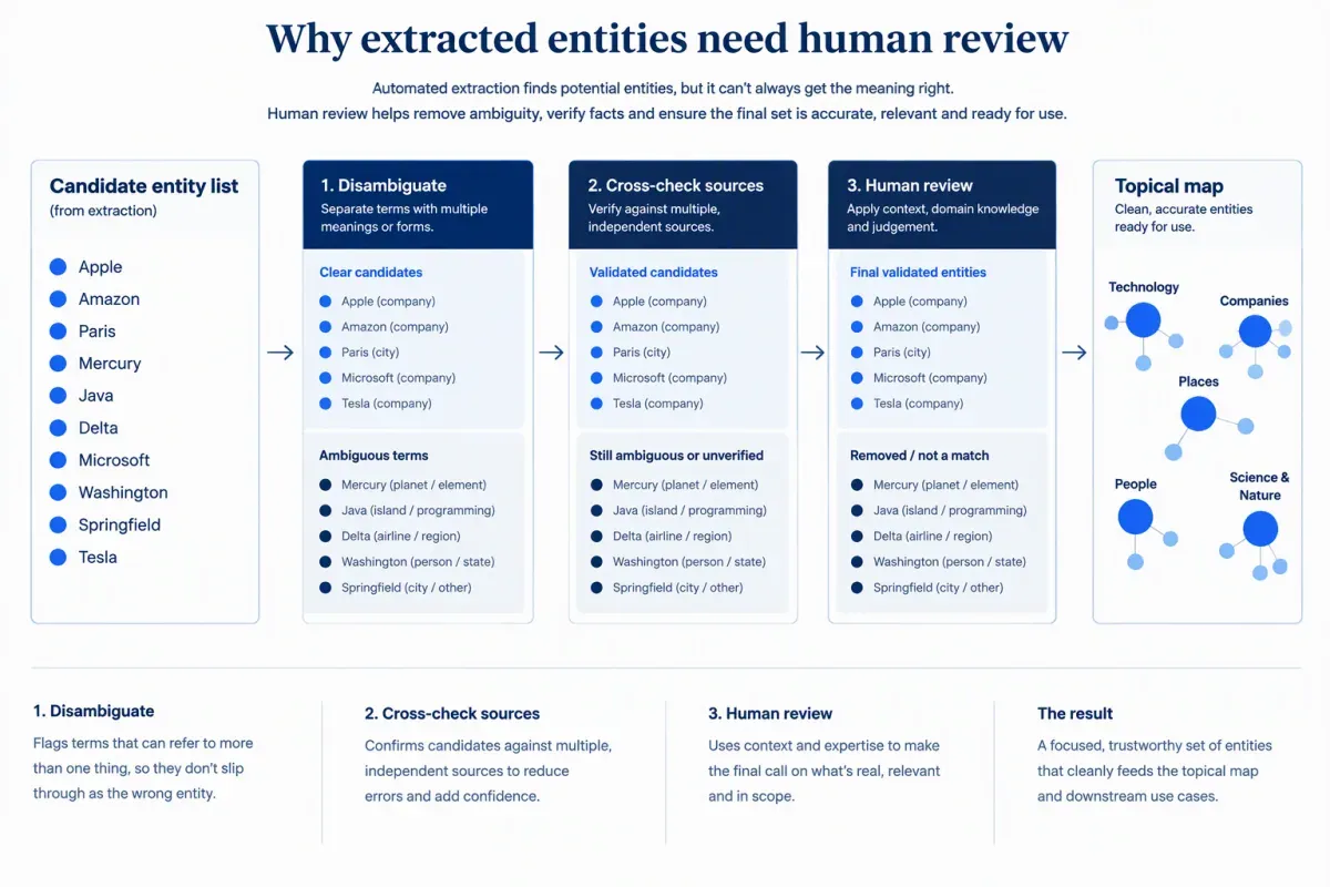 Candidate entities pass through disambiguation, source cross-checks and human review before reaching a topical map