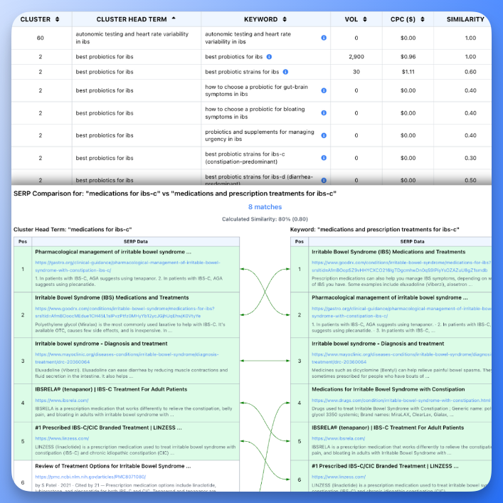 SERP Clustering Visualization